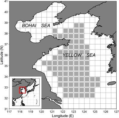 Modeling the Oceanographic Impacts on the Spatial Distribution of Common Cephalopods During Autumn in the Yellow Sea